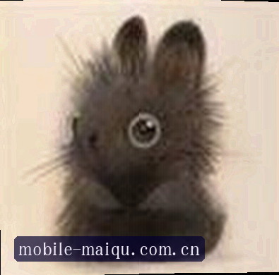 陈宇